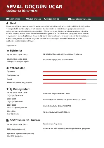 cv indir